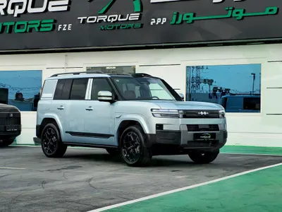 2025 بي واي دي اس 7