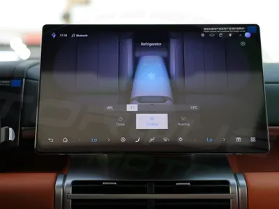 2025 بي واي دي اس 7