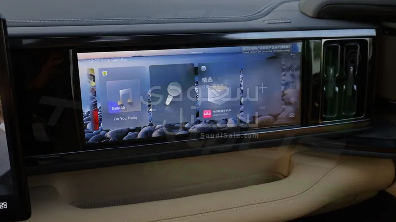 2025 بي واي دي ليوبارد 5