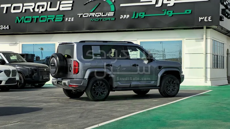 2025 بي واي دي ليوبارد 5