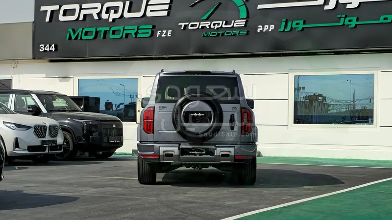 2025 بي واي دي ليوبارد 5