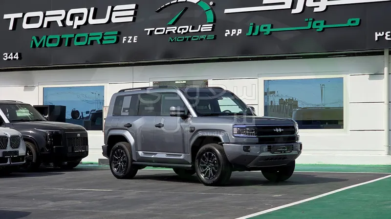 2025 بي واي دي ليوبارد 5