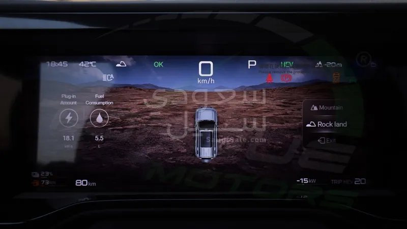 2025 بي واي دي ليوبارد 5