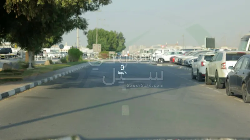 2025 بي واي دي ليوبارد 5