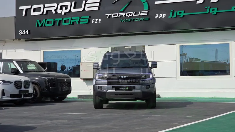 2025 بي واي دي ليوبارد 5