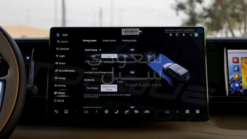 2025 بي واي دي ليوبارد 5