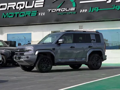 2025 بي واي دي ليوبارد 5