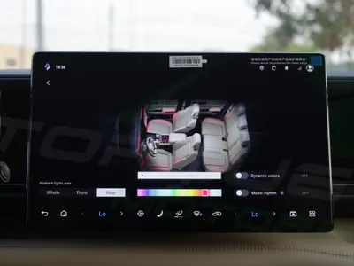 2025 بي واي دي ليوبارد 5