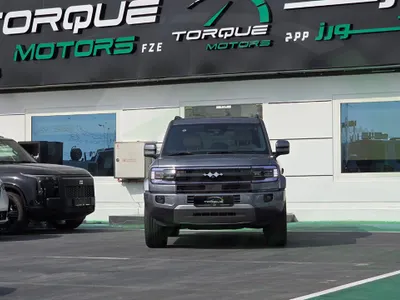 2025 بي واي دي ليوبارد 5