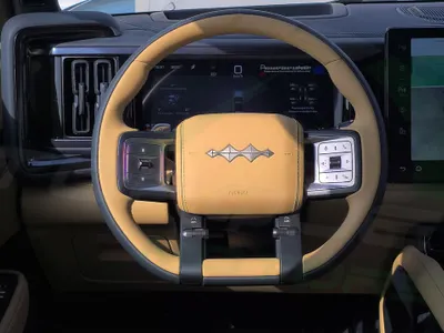 2025 بي واي دي ليوبارد 5