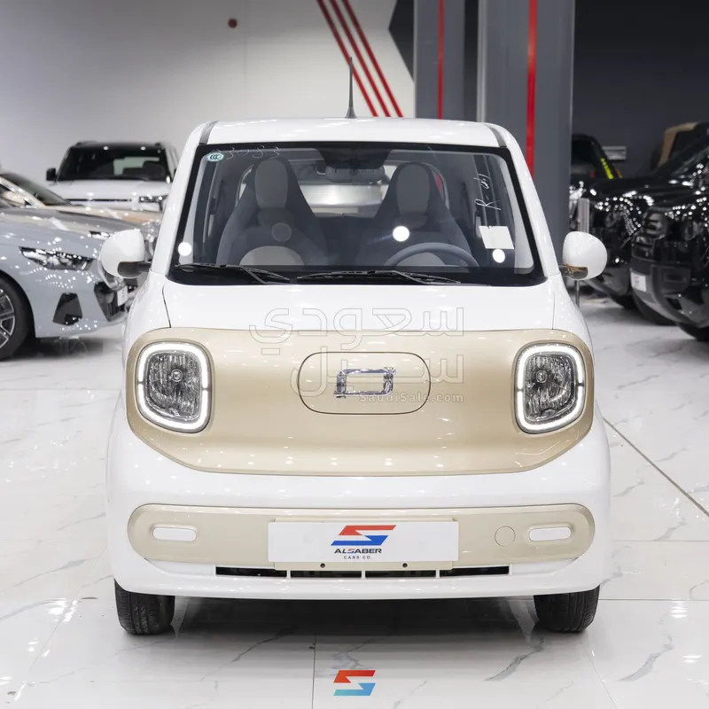 2025 Faw Bestune Mini EV
