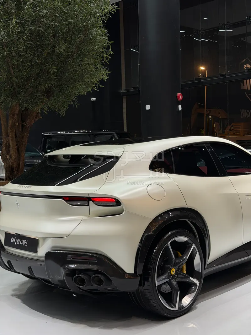 2024 فيراري بوروسانجوي