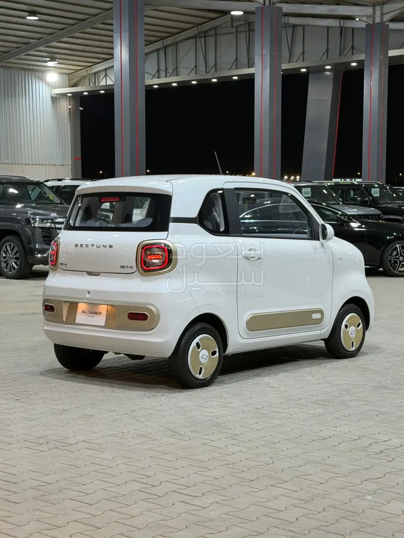 2025 Faw Bestune Mini EV