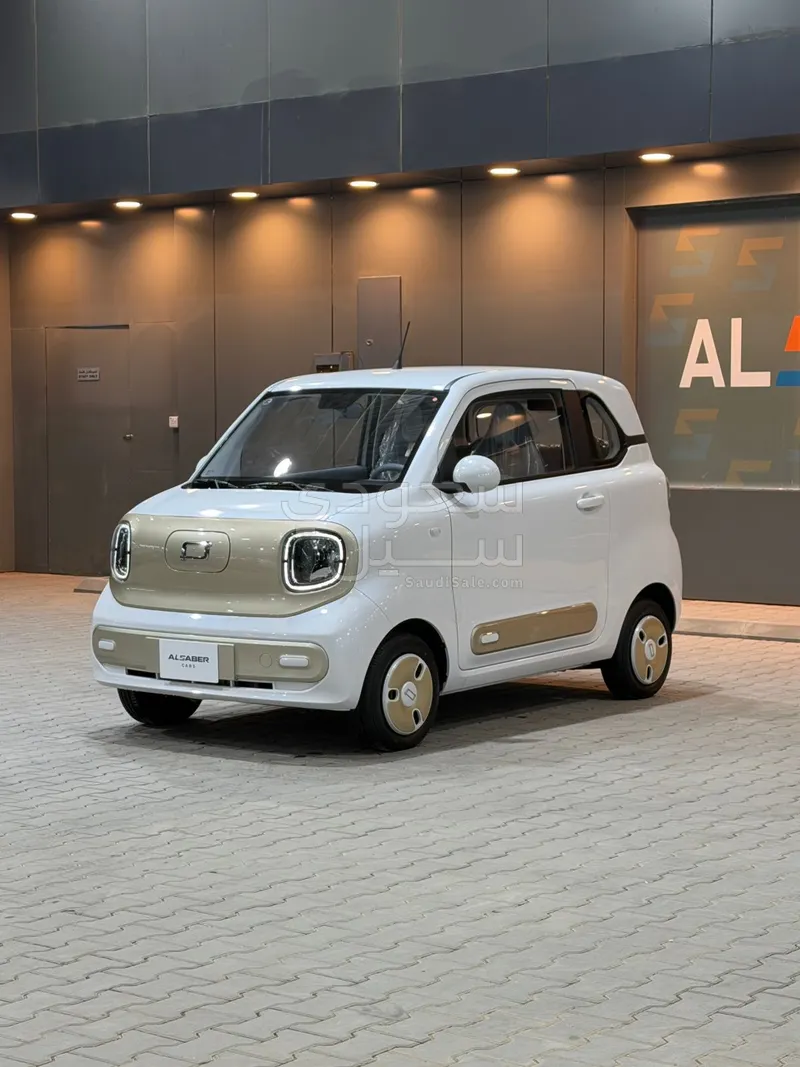2025 Faw Bestune Mini EV
