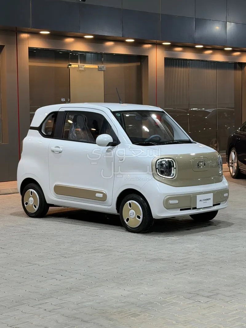 2025 Faw Bestune Mini EV