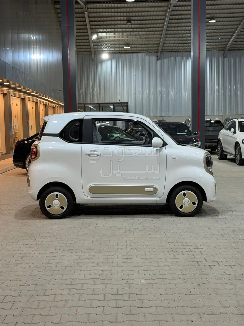 2025 Faw Bestune Mini EV