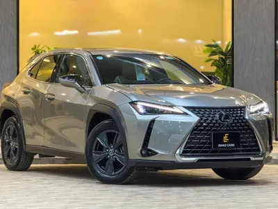 2024 لكزس يو إكس اتش300