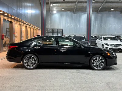 2026 نيسان التيما