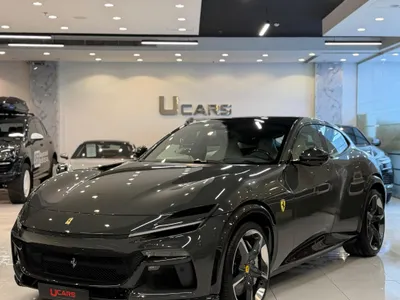 2025 فيراري بوروسانجوي