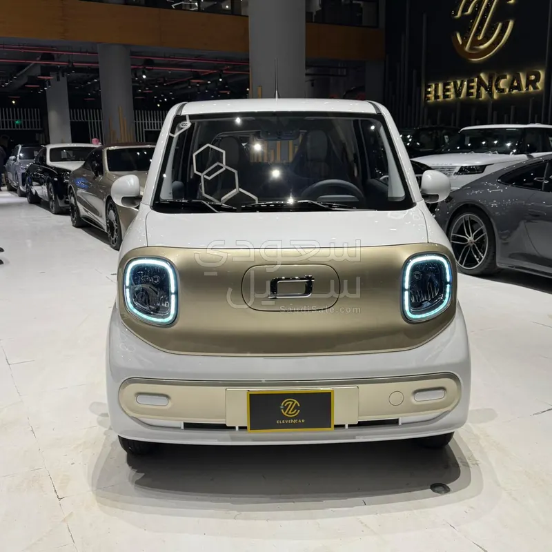 2025 فاو بيستون ميني إي في