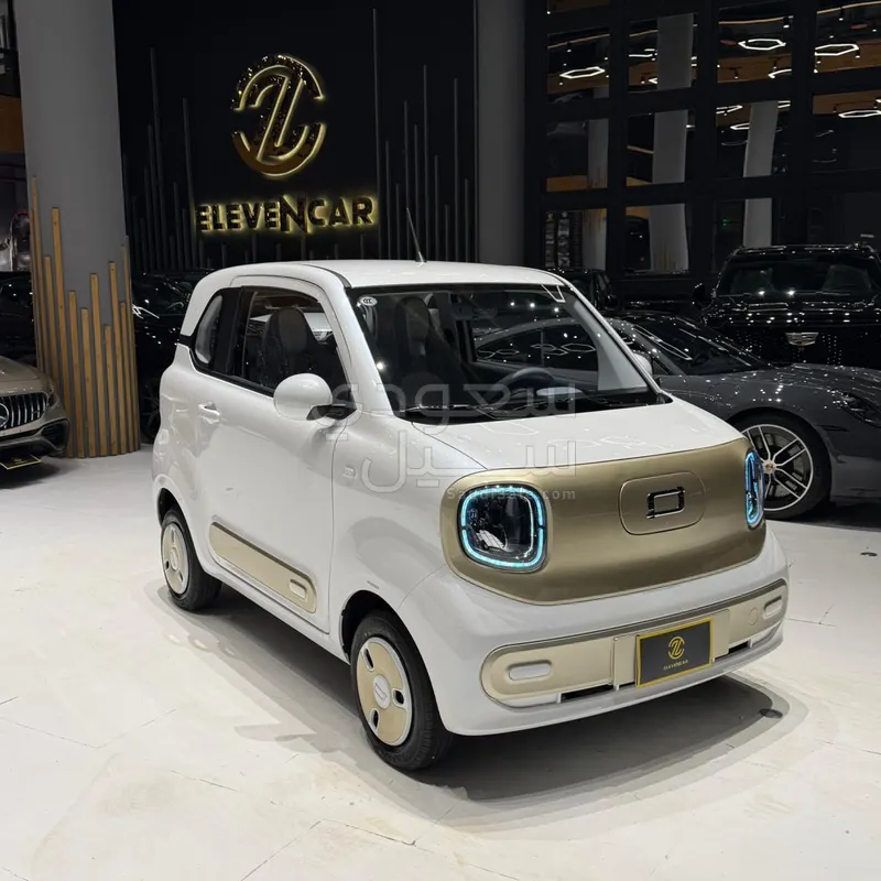 2025 فاو بيستون ميني إي في