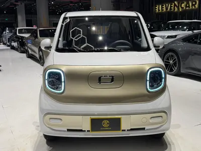 2025 فاو بيستون ميني إي في