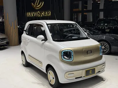 2025 فاو بيستون ميني إي في