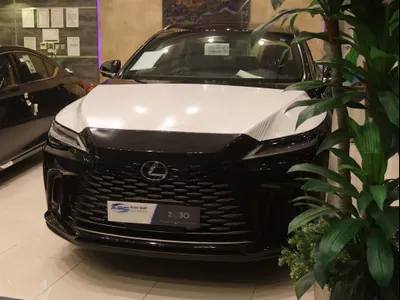 2025 لكزس أر إكس 350