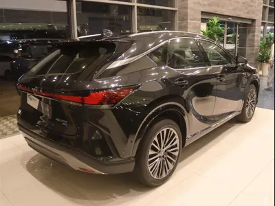 2025 لكزس أر إكس 350