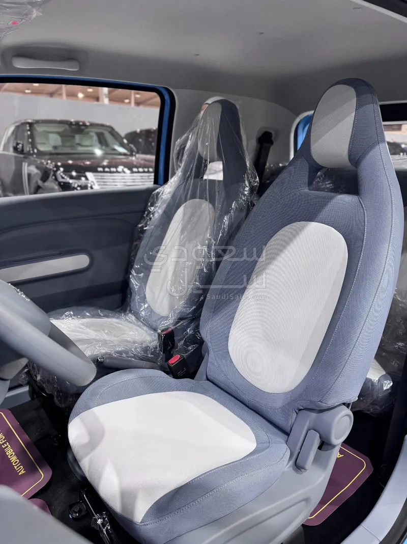 2025 فاو بيستون ميني إي في