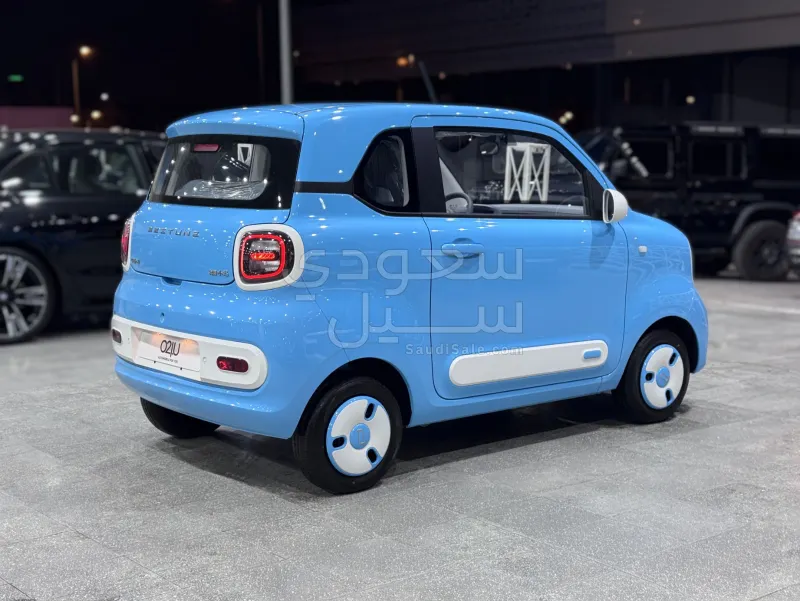 2025 فاو بيستون ميني إي في