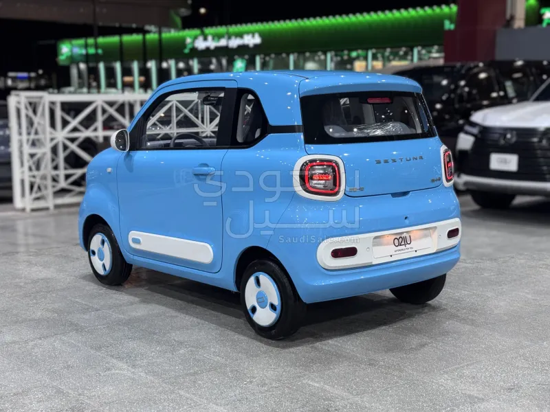 2025 فاو بيستون ميني إي في