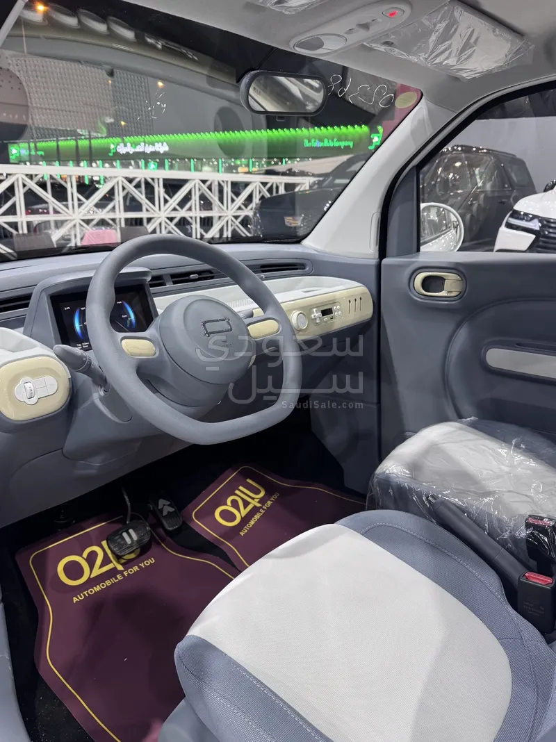 2025 فاو بيستون ميني إي في