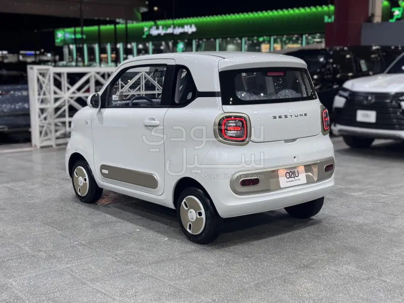 2025 فاو بيستون ميني إي في