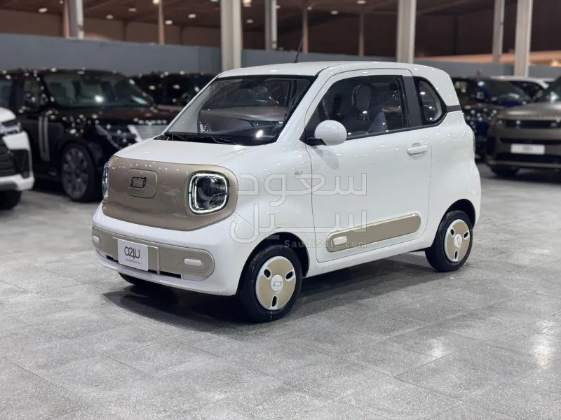 2025 فاو بيستون ميني إي في