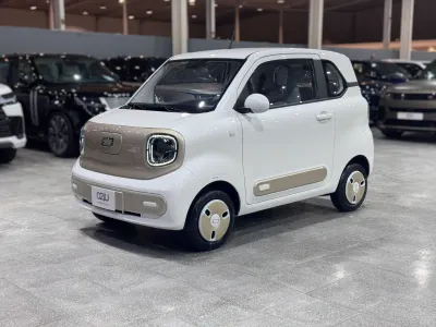 2025 فاو بيستون ميني إي في