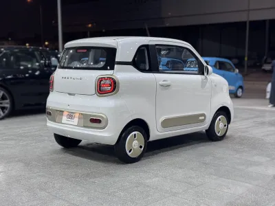 2025 فاو بيستون ميني إي في