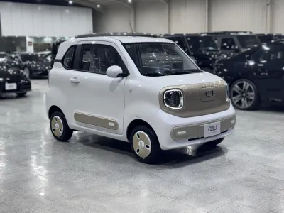 2025 فاو بيستون ميني إي في