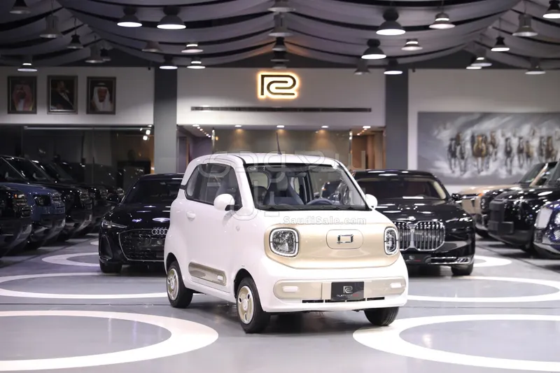 2025 فاو بيستون ميني إي في