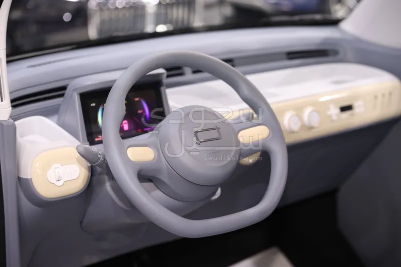 2025 فاو بيستون ميني إي في