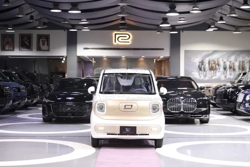 2025 فاو بيستون ميني إي في