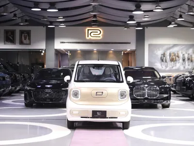 2025 فاو بيستون ميني إي في