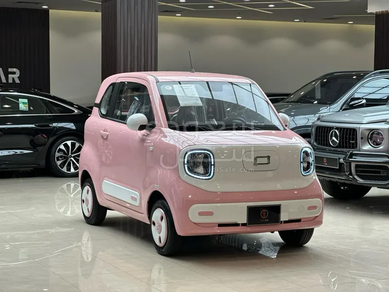 2025 فاو بيستون ميني إي في