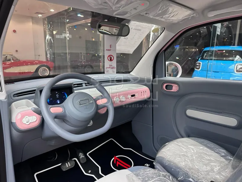 2025 فاو بيستون ميني إي في