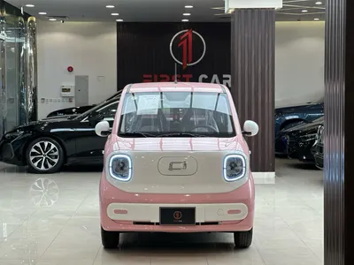 2025 فاو بيستون ميني إي في