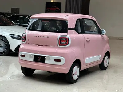 2025 فاو بيستون ميني إي في