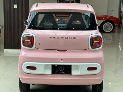 2025 فاو بيستون ميني إي في