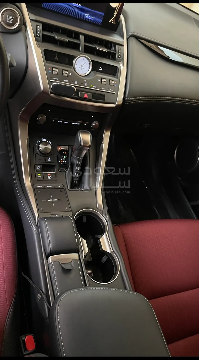 2021 لكزس إن إكس 300