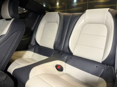 2024 فورد موستانغ جي تي