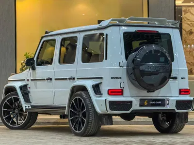 2019 مرسيدس - بنز جي برابوس 800